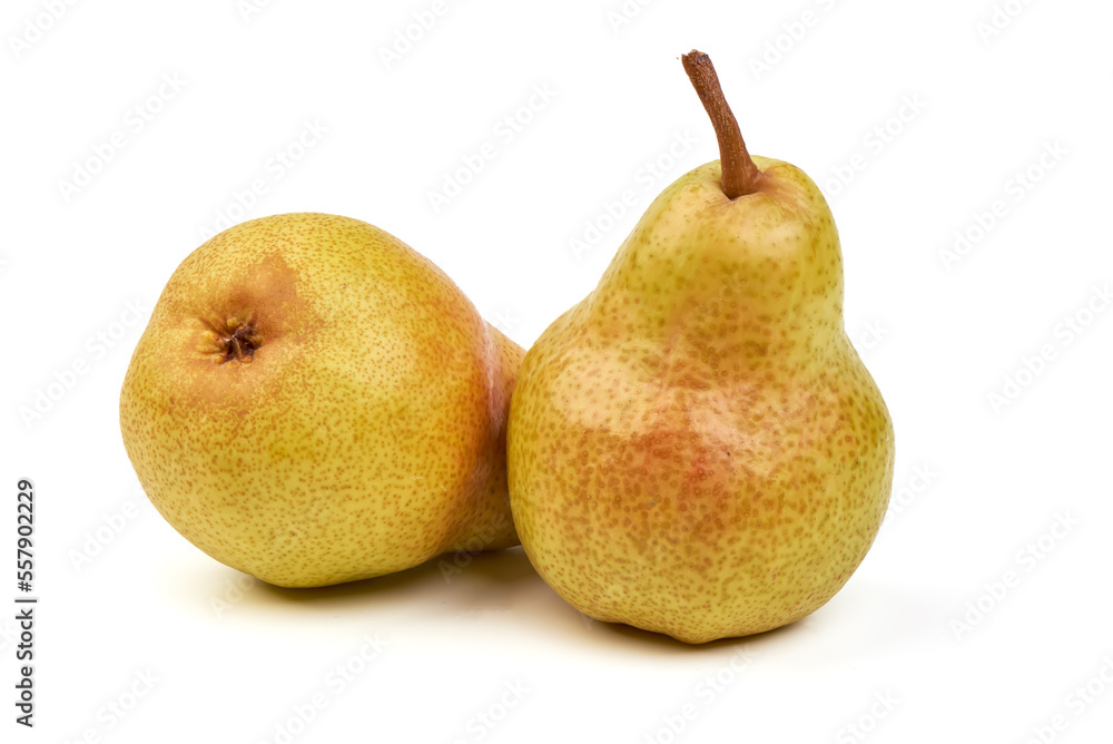 Fresh pears, close-up, isolated on white background. Fresh pears, close-up, isolated on white background.