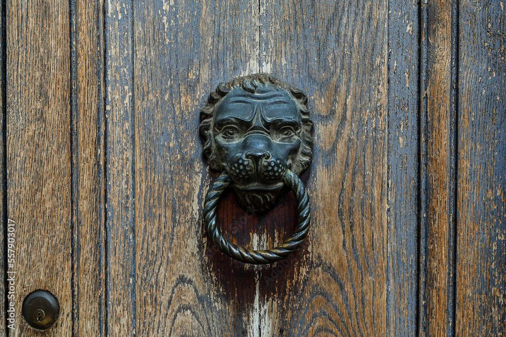 Close-up of the wooden door of an old house with a metal door knocker in the shape of a lion's head, Venice, Italy