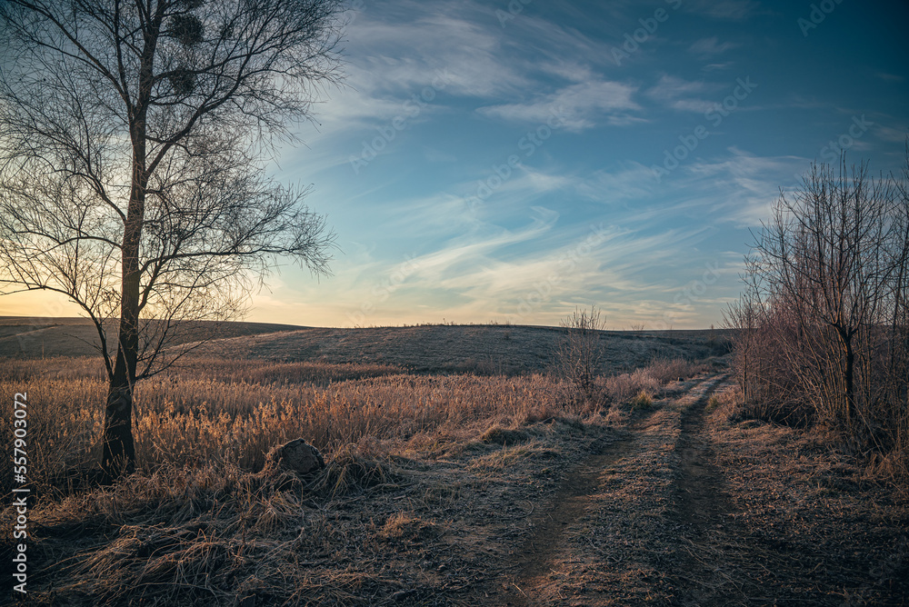 Obraz premium Winter sunrise on river