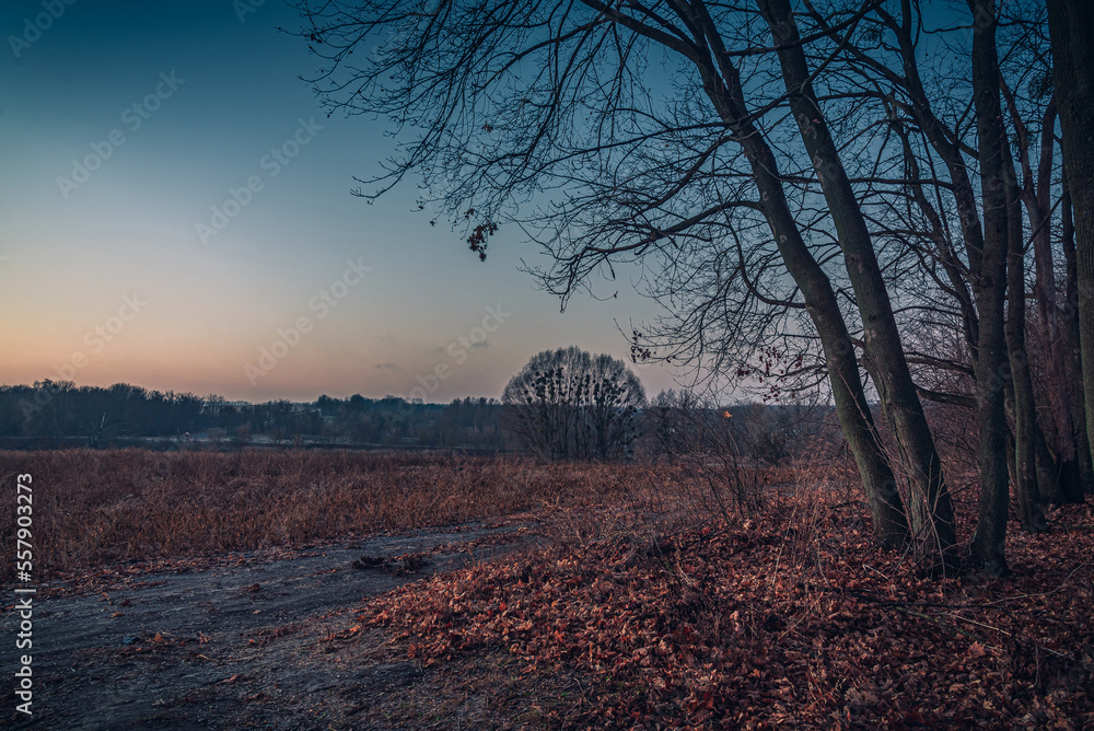 Naklejka premium Sunrise on river