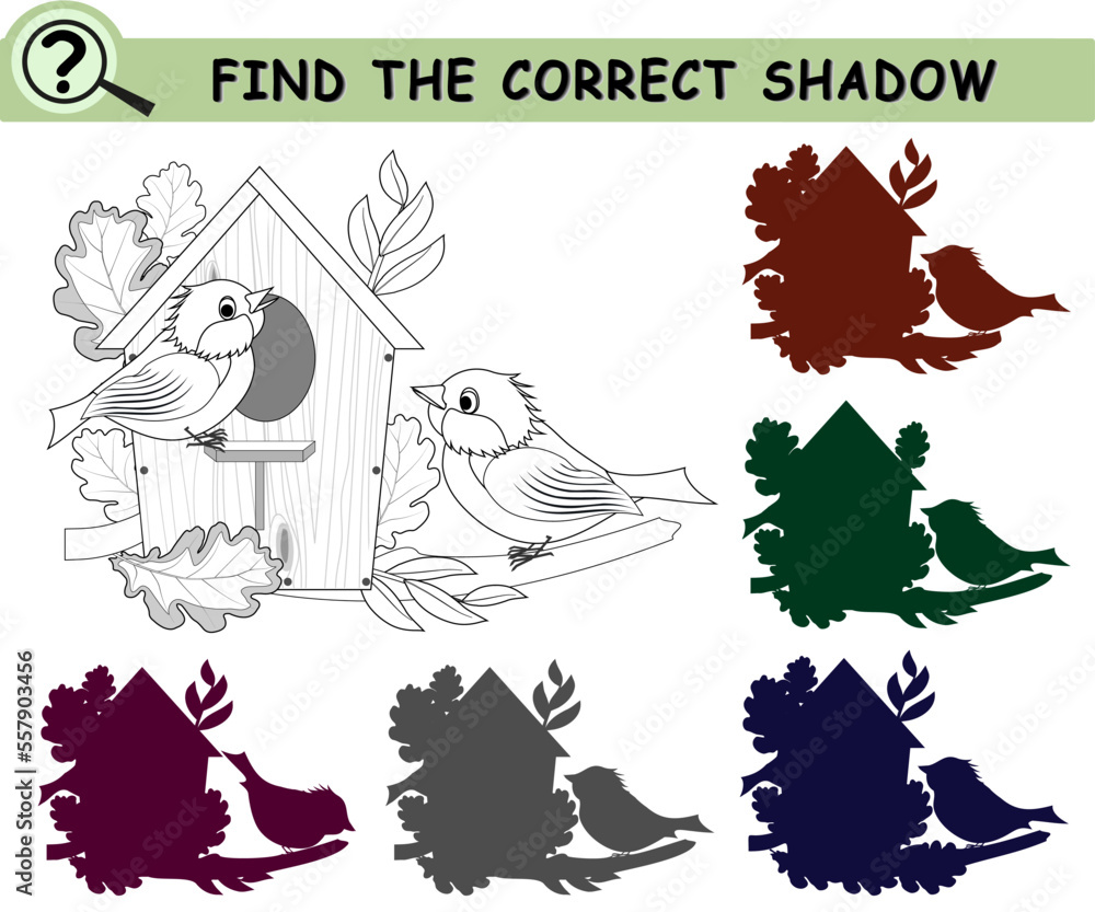 Find the correct shadow of birds, bird house, leaves and flowers. Coloring book page with logical game for children. Vector illustration.