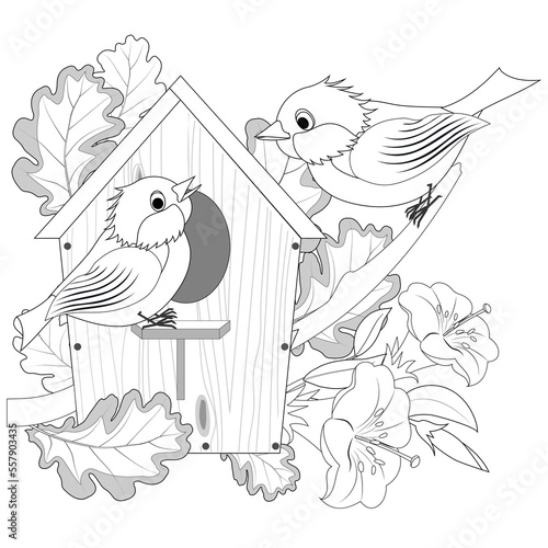 Birds, bird house, leaves and flowers for coloring book page. Vector illustration.
