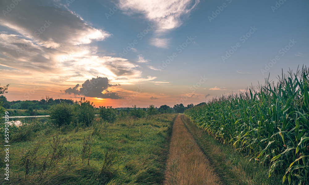 Fototapeta premium Sunrise on river