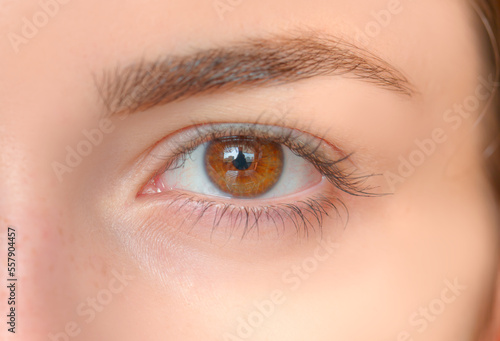 Close-up beautiful girl hazel eye with round glare in the eyes of the ring flash