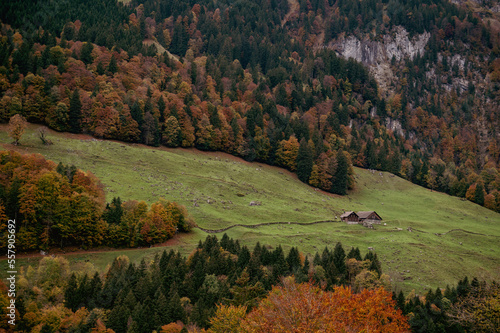 a house in the middle of the meadow in the hill