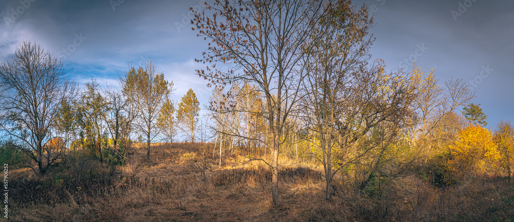 Obraz premium Faded nature in late summer and autumn