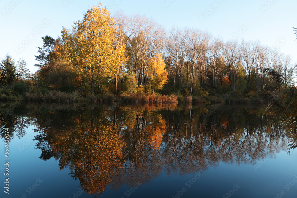 Picturesque view of lake and trees on autumn day