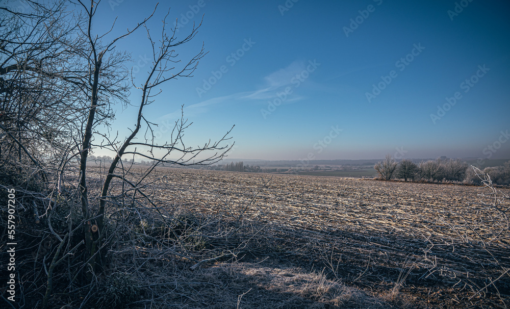 Fototapeta premium Winter sunrise on river
