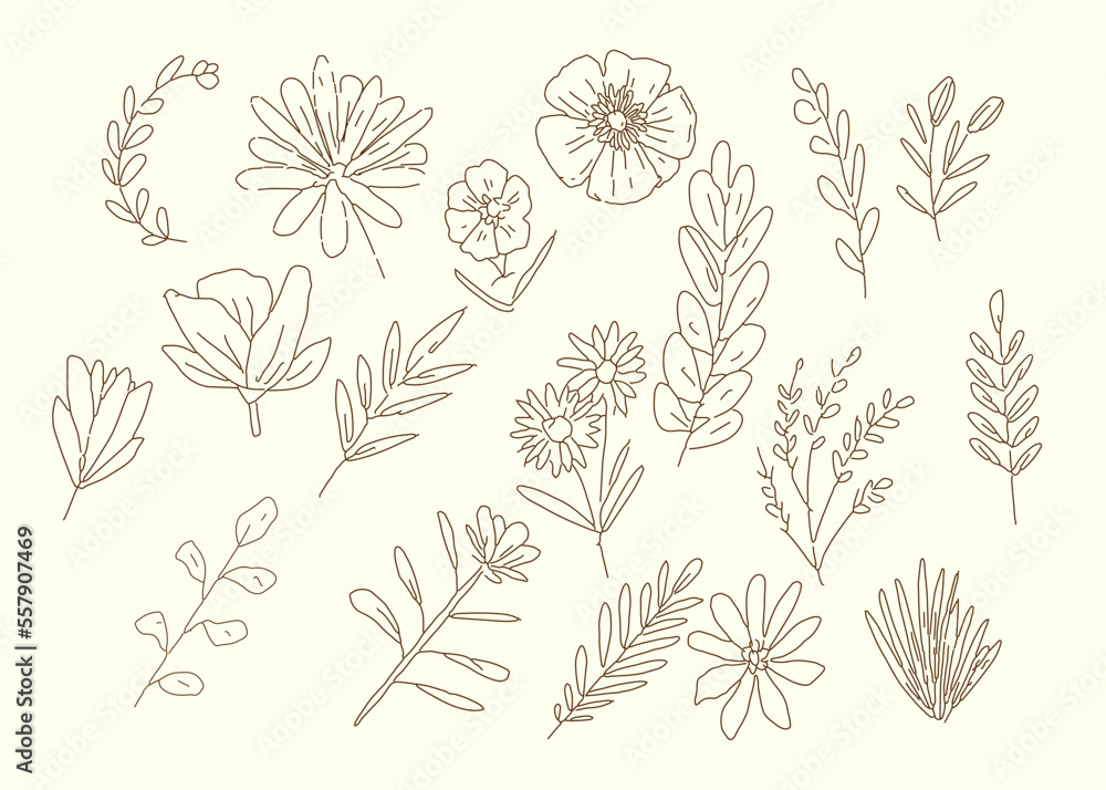 doodle flowers vector had drawn