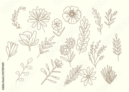 doodle flowers vector had drawn