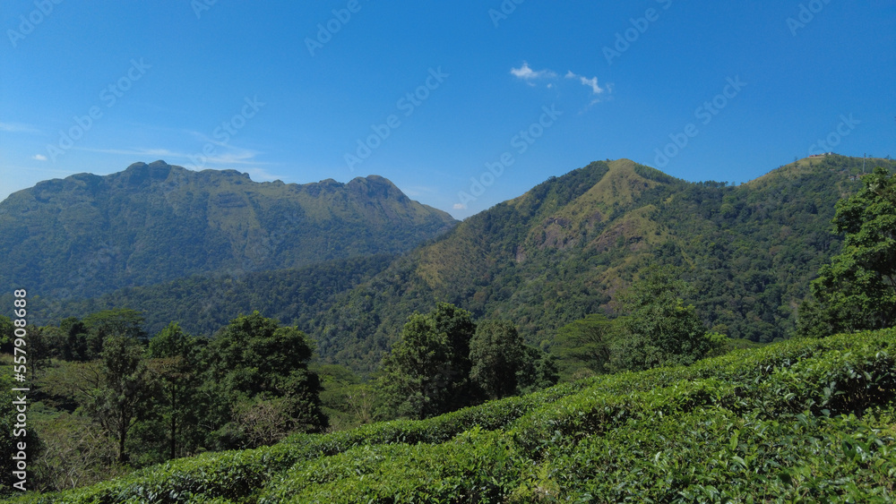 Ponmudi hill station, western ghats mountain range, Thiruvananthapuram, Kerala