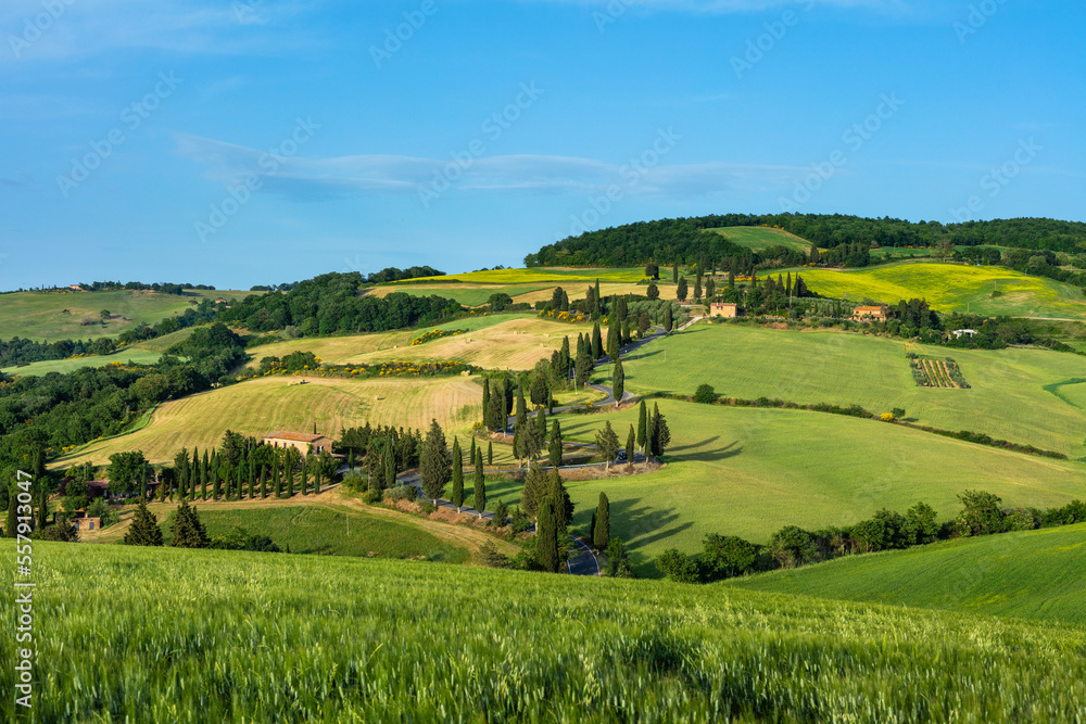 Tuscany. Landscape view, hills and meadow, Italy