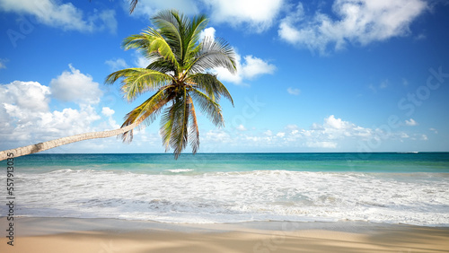 Tilted palm tree over the seashore of wild deserted beach. Big waves of turquoise sea on the yellow sand