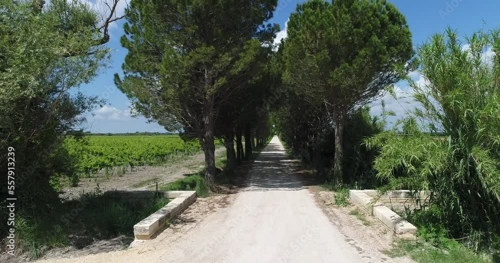 Vue aérienne champs agriculture ensoleillement Vue aérienne champs agriculture ensoleillement