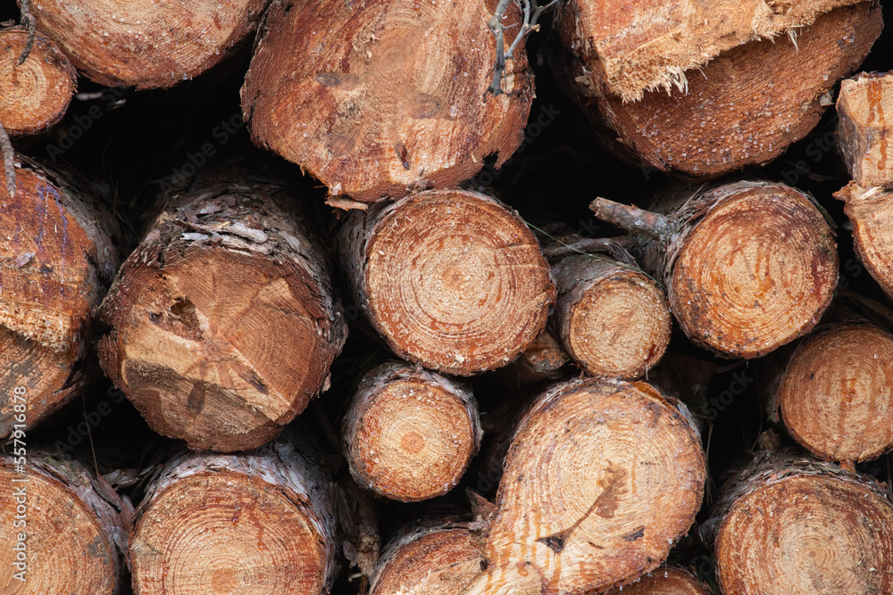 image of stacked logpile and wood image of stacked logpile and wood