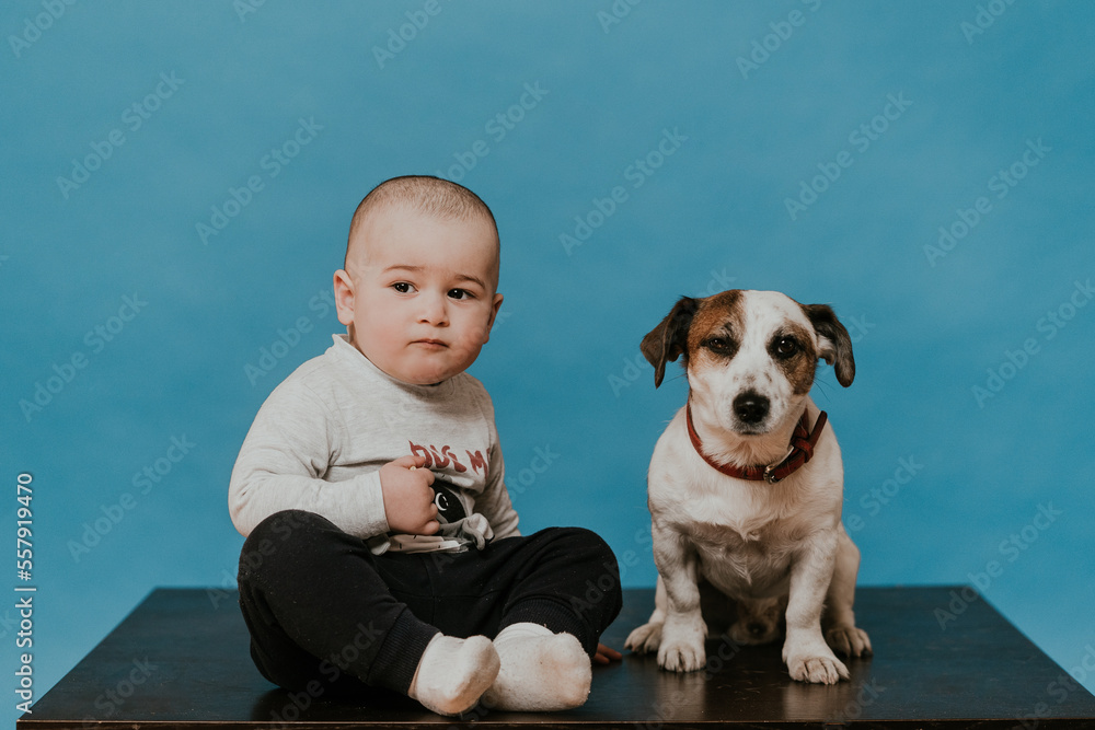 Little boy in casual sitting on the table with puppy Jack Russel over blue background. Pets and children. Little boy in casual sitting on the table with puppy Jack Russel over blue background. Pets and children.