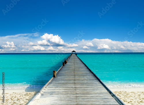Beautiful tropical Maldives island with beach. © Pakhnyushchyy