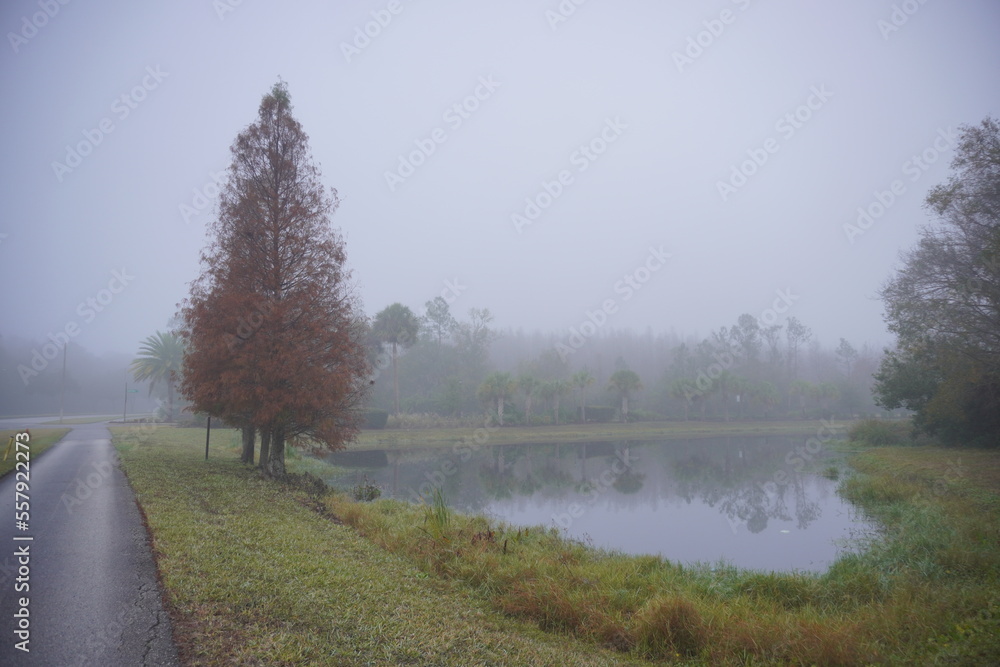 The winter fog landscape of Tampa Palms area in Florida The winter fog landscape of Tampa Palms area in Florida