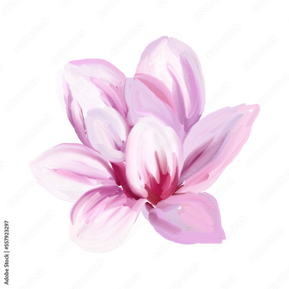 Fototapeta premium Pink magnolia flower, blossom hand drawn flower