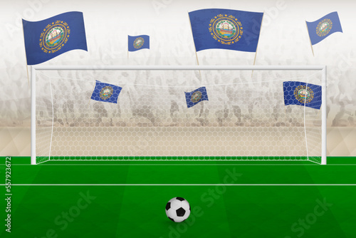 New Hampshire football team fans with flags of New Hampshire cheering on stadium, penalty kick concept in a soccer match.