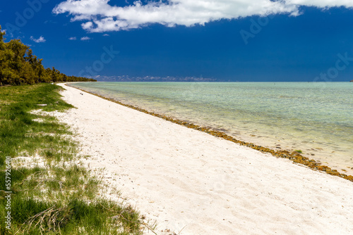 Grande plage de sable blanc d  serte au bord d un lagon tropical turquoise  bord  e de filaos. Rodrigues