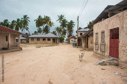 Jambiani Zanzibar Tanzanie photo