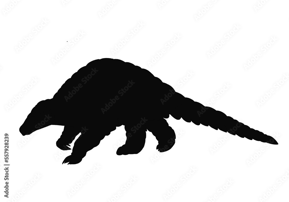 Silhouette of pangolin walking on white background Silhouette of pangolin walking on white background