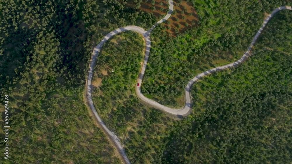 bird's eye drone view of forest road bird's eye drone view of forest road
