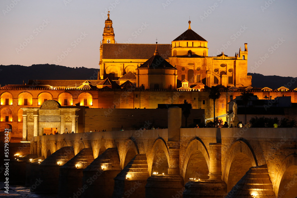 Roman bridge and Mezquita in Cordoba, Andalusia at dusk