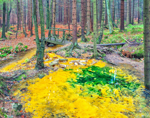 Schwefelquelle im Zittauer Gebirge -  sulfur source in Lusatian Mountains in autumn