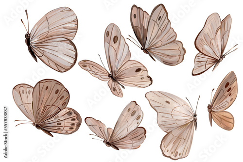 Collection Beige butterflies illustration set on isolated white background, acrylic painting, Decorative elements  © Hanna