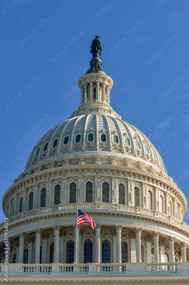Fototapeta premium Washington Capitol Building and Waving USA Flag.