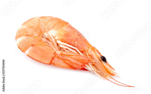 Shrimp on white background closeup.  Shrimp isolated.