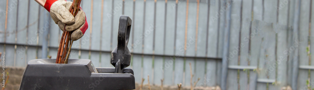 Work in the garden. Man cutting and crushing branches of trees and berry bushes.
