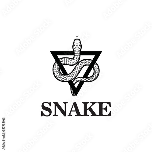 snake logo design vector illustration