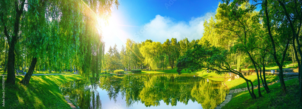 Fototapeta premium Very beautiful idyllic natural panorama of city spring summer park with pond that reflects surrounding trees and blue sky on bright sunny day.
