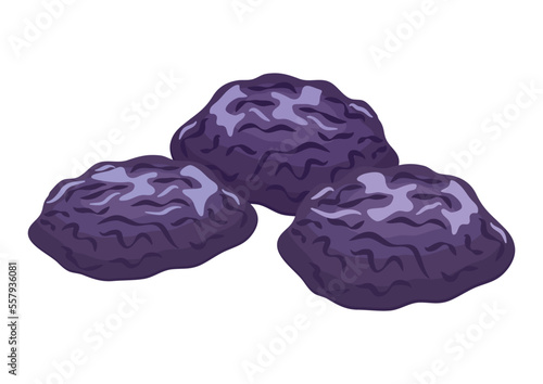 Dried plums icon set vector. Prune plum icon vector isolated on white background. Pile of dried prunes drawing