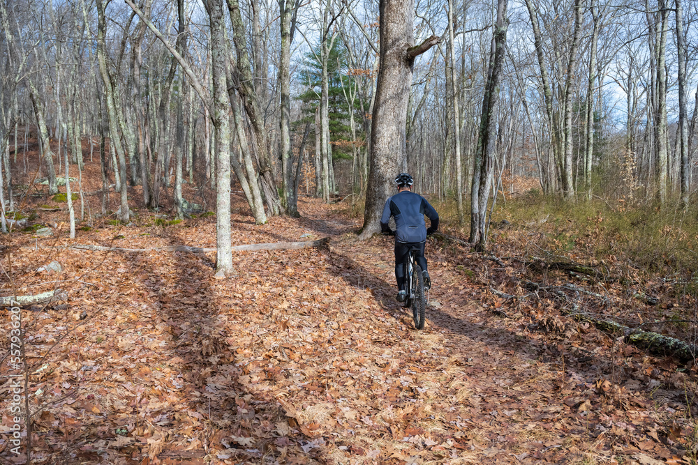 Obraz premium Mountain Biking in the woods