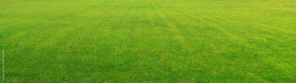 Wide format background image of green carpet of neatly trimmed grass. Beautiful grass texture on bright green mowed lawn, field, grassplot in nature. Wide format background image of green carpet of neatly trimmed grass. Beautiful grass texture on bright green mowed lawn, field, grassplot in nature.