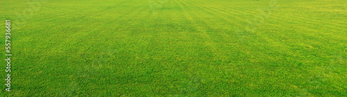 Wide format background image of green carpet of neatly trimmed grass. Beautiful grass texture on bright green mowed lawn, field, grassplot in nature. © Laura Pashkevich