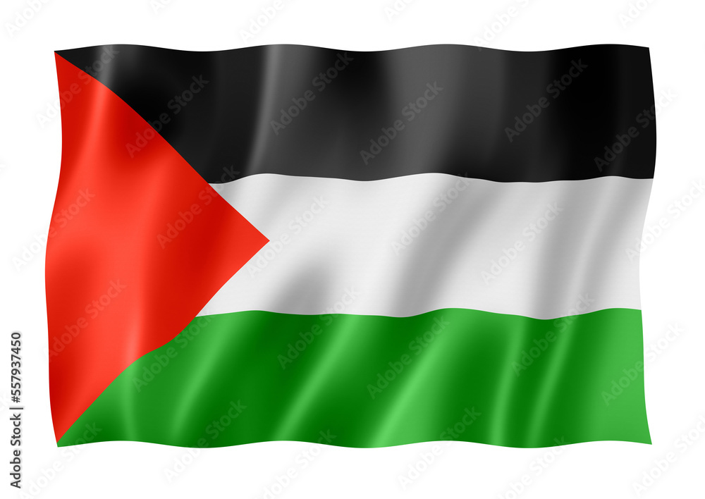 Fototapeta premium Palestinian flag isolated on white