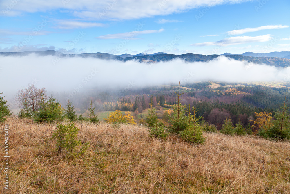 Cloud of fog over mountains in autumn, withered grass on the foreground. Peaceful Ukraine, Carpathians.