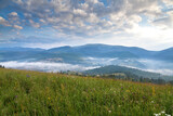 Green meadow on the background of mountains in fog, clouds in the morning sky. Ukraine, Carpathians.