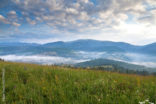 Green meadow on the background of mountains in fog, clouds in the morning sky. Ukraine, Carpathians.