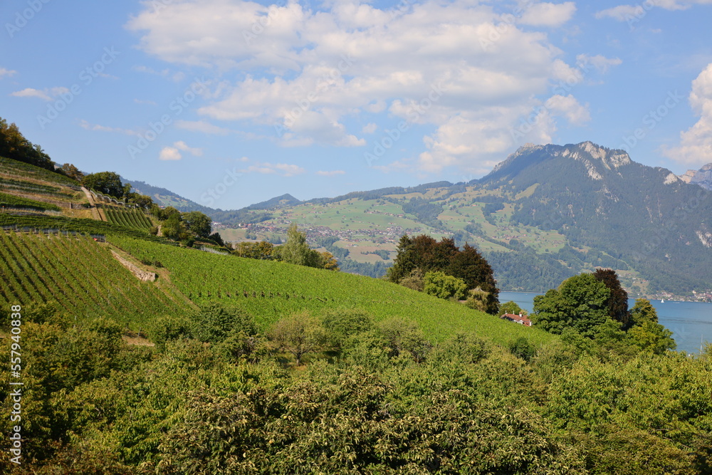 View from the Spiez Castle which is a castle in the municipality of Spiez of the Swiss canton of Bern