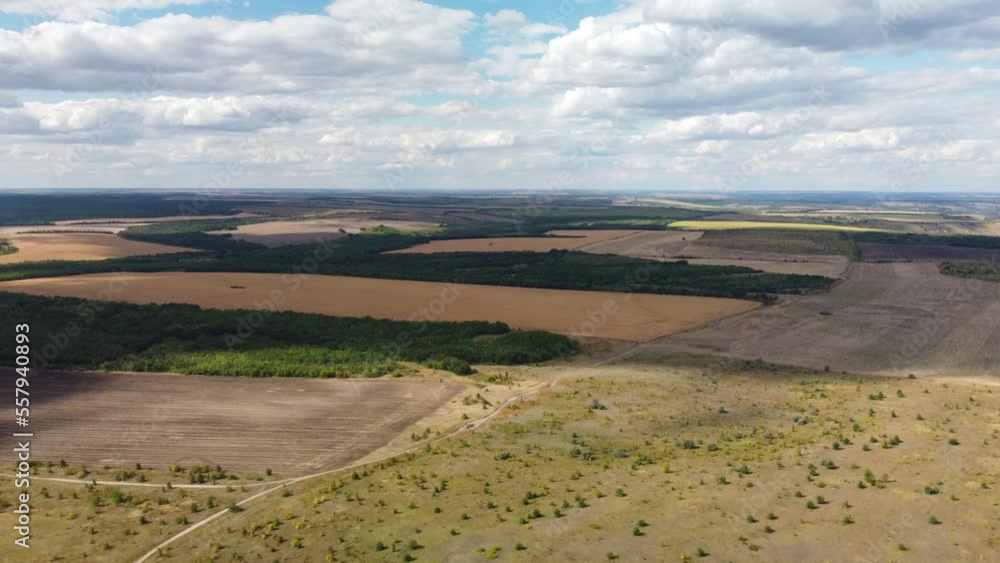 wheat fields aerial view. video from a quadrocopter wheat fields aerial view. video from a quadrocopter