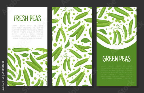 Green peas banner templates set. Healthy natural organic product, green peas label and packaging design cartoon vector