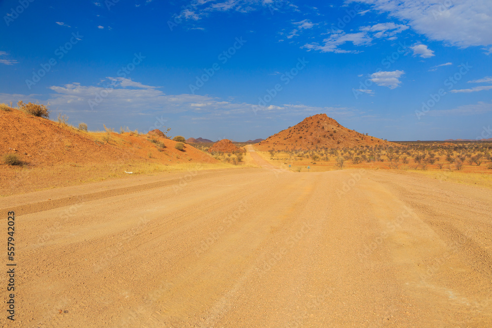 Fototapeta premium Namibian landscape along the gravel road. Damaraland, homelands in South West Africa, Namibia.