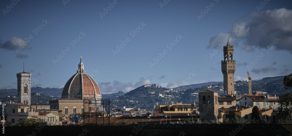Fototapeta premium Florence cityscape with Santa Maria del Fiore Cathedral and Palazzo Vecchio