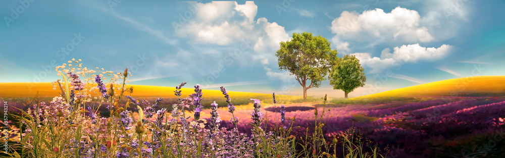 field nature landscape Meadow of wheat trees and wild Lavender flowers on field sunslight blue sky with white clouds summer banner field nature landscape Meadow of wheat trees and wild Lavender flowers on field sunslight blue sky with white clouds summer banner